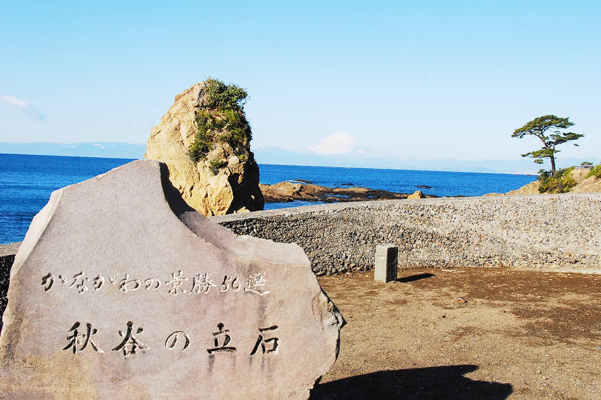 (写真) 秋谷・立石海岸 6