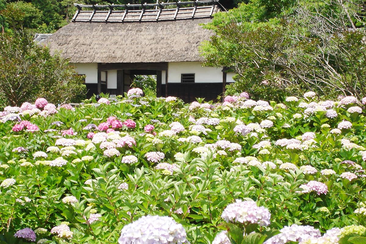 (写真) 大鐘家 2
