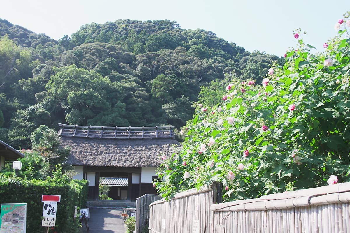 (写真) 大鐘家 6