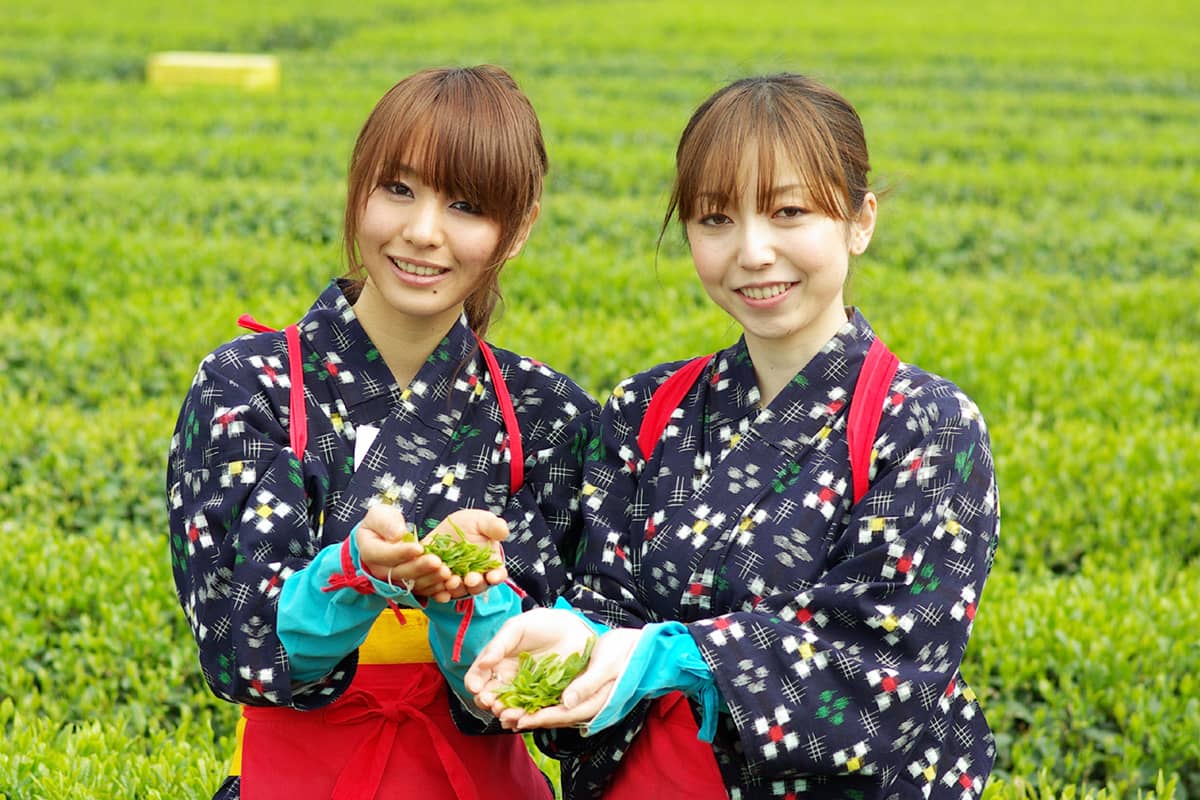 (写真) グリンピア牧之原 1