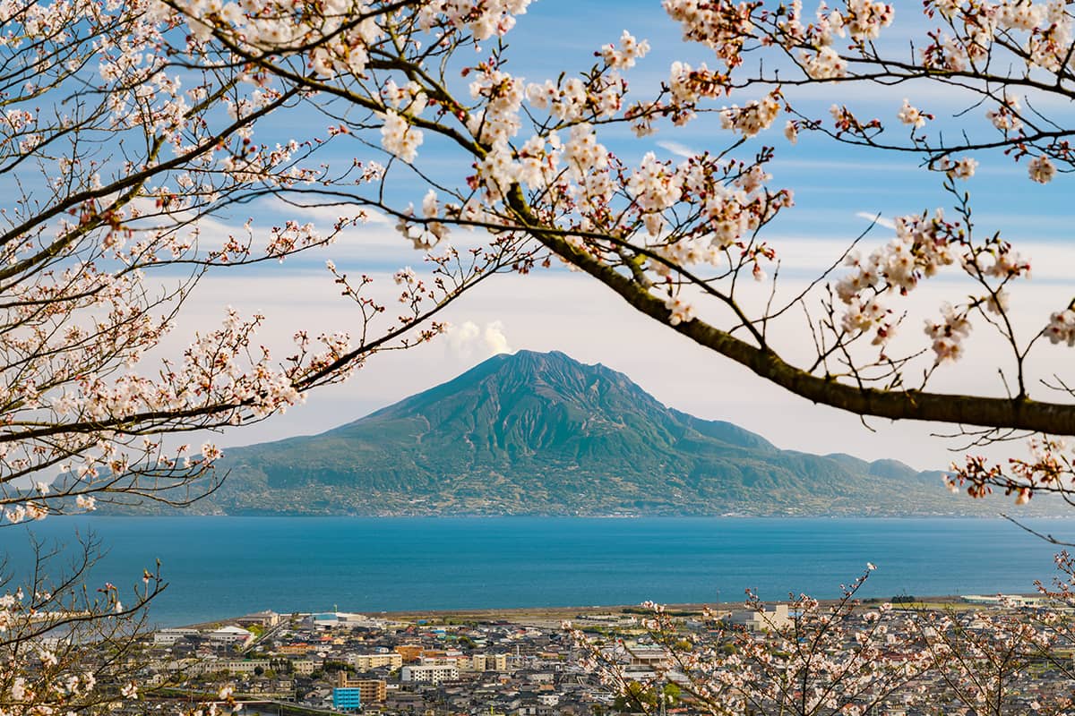 (写真) 桜島 2