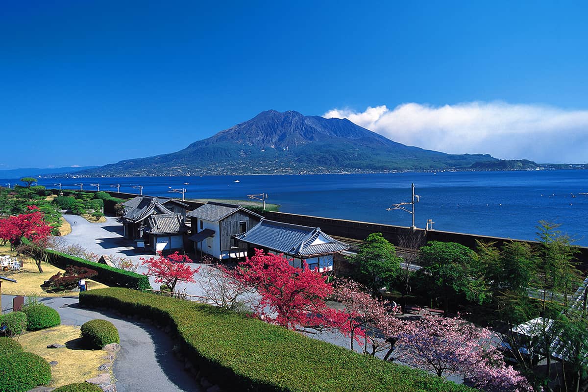 (写真) 桜島 4