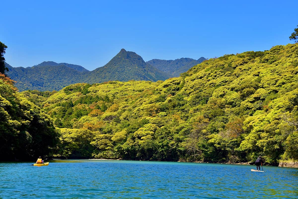 (写真) 安房川カヤック（屋久島） 5