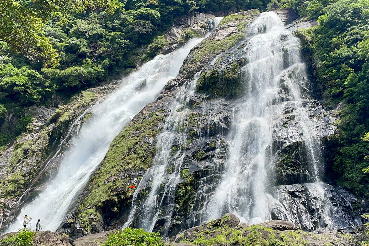 (写真) 大川の滝（屋久島） 1