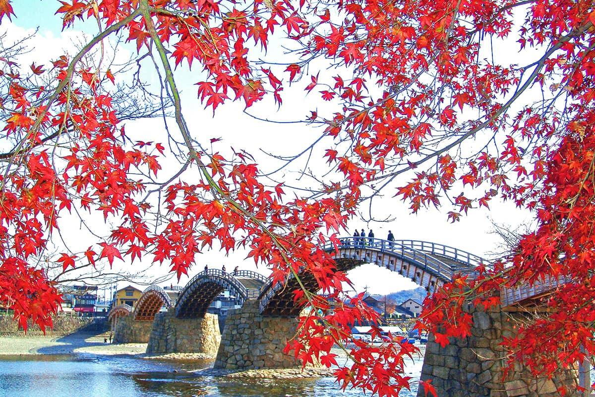 (写真) 錦帯橋 3