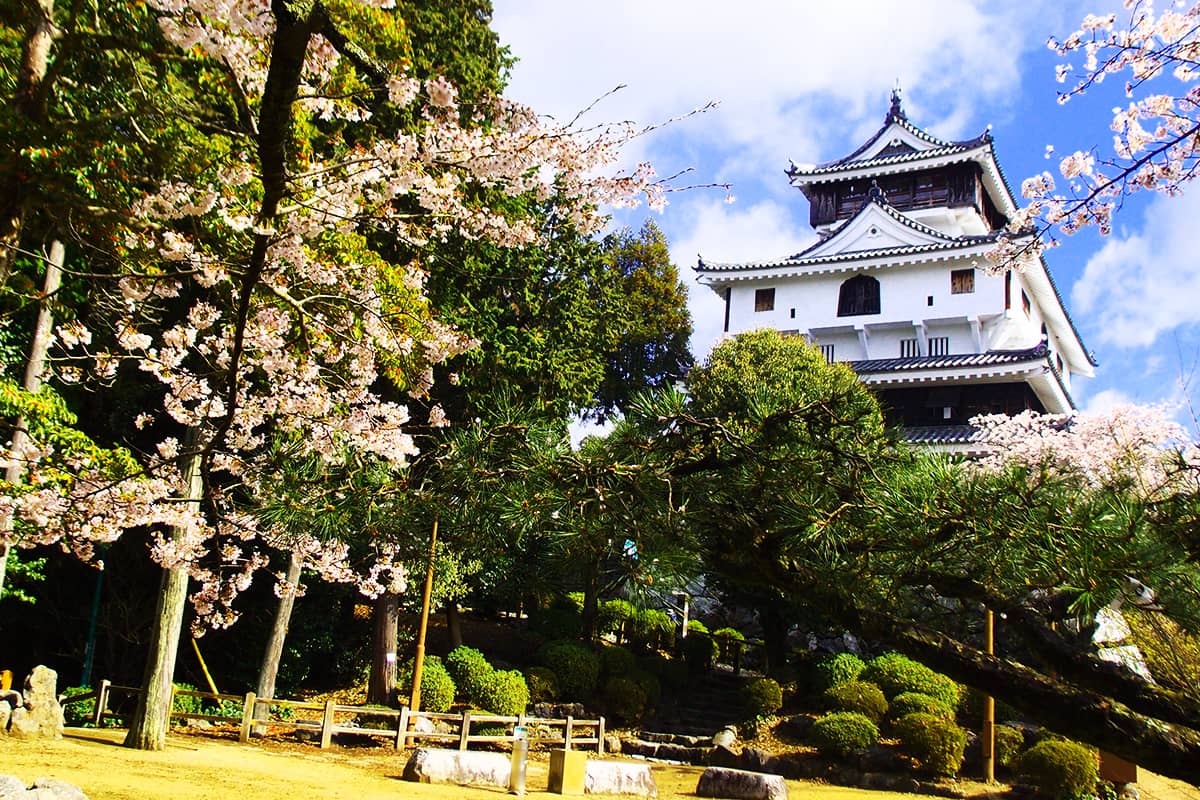 (写真) 岩国城 2