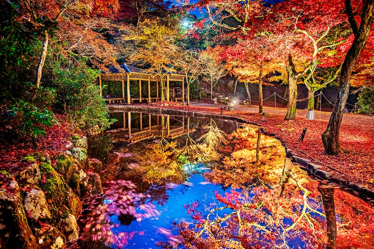 (写真) 宮島 5