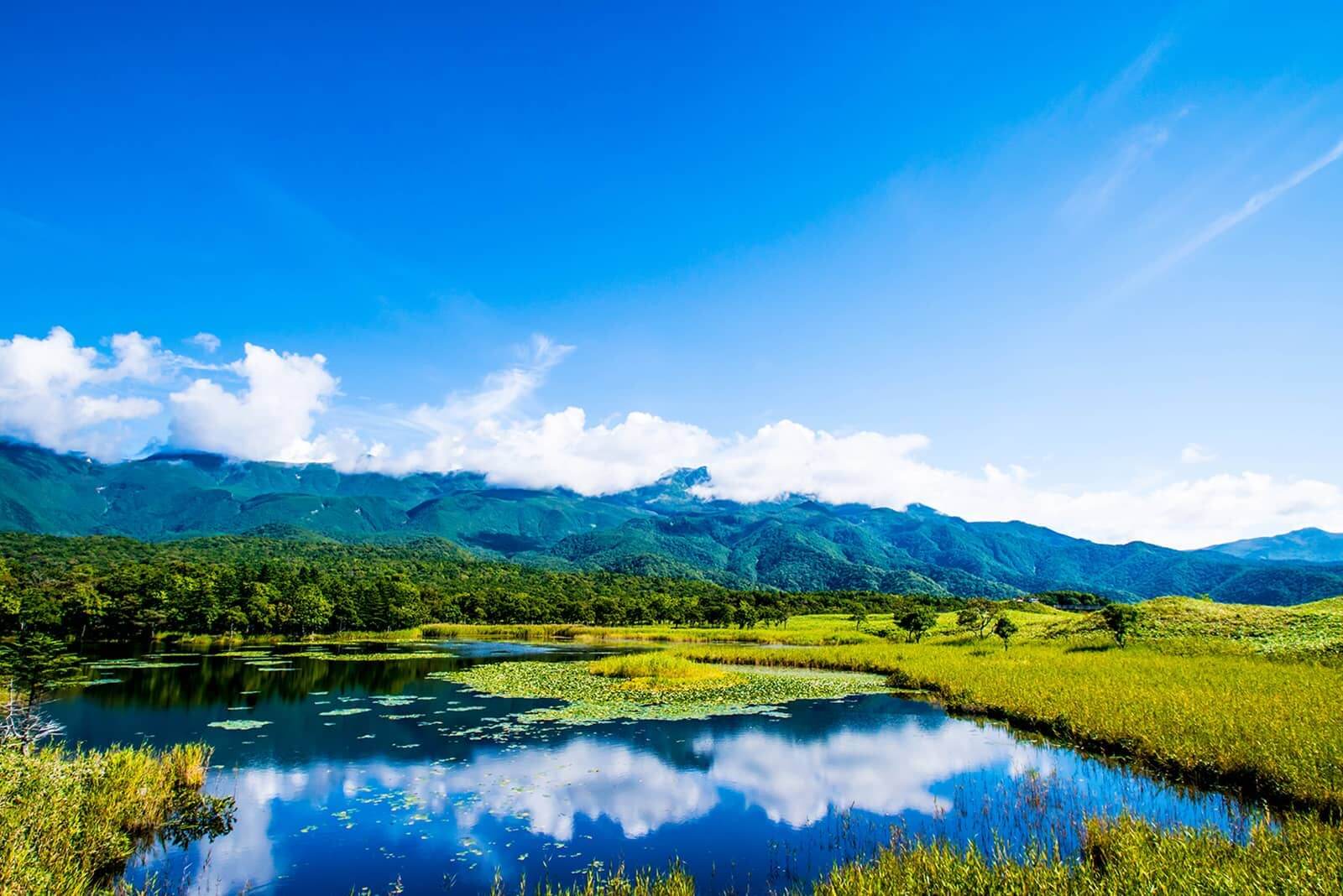 (写真) 知床五湖 1