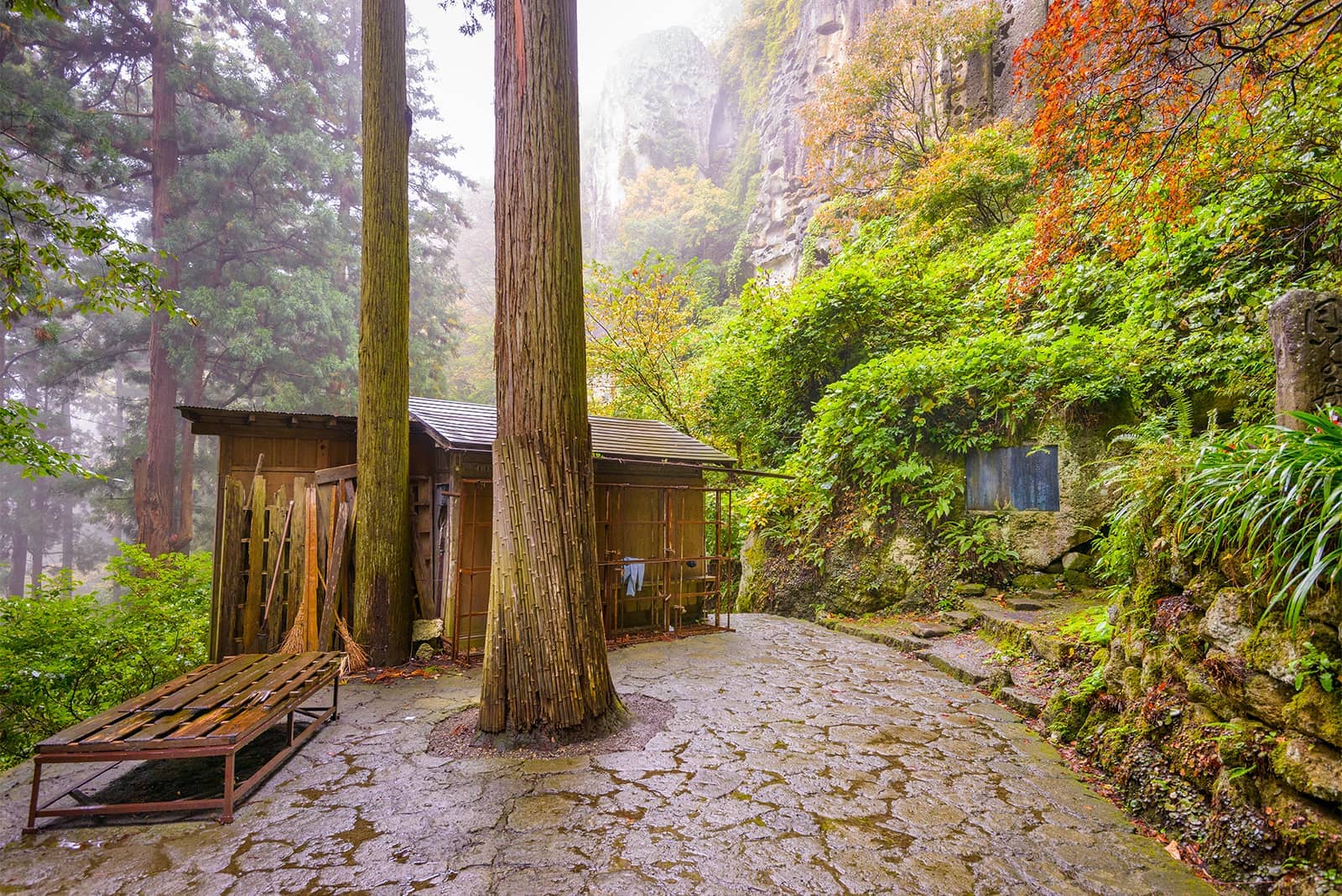(写真) 山寺 3