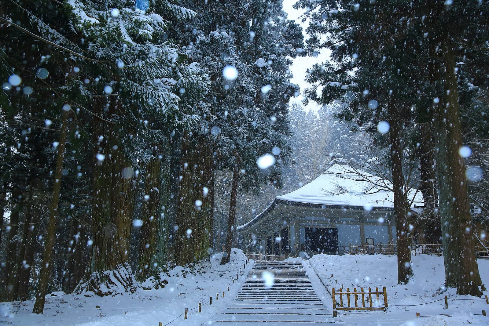 (写真) 中尊寺 1