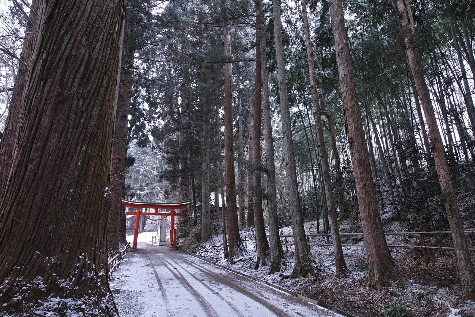 (写真) 中尊寺 2
