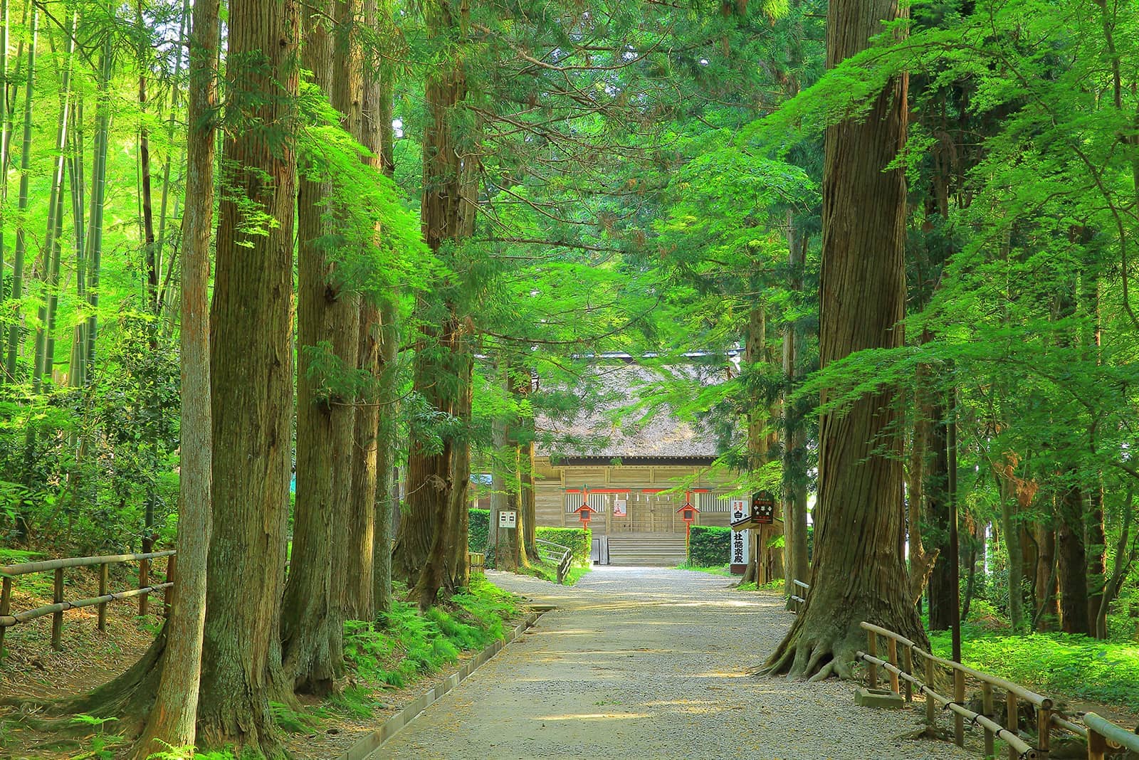 (写真) 中尊寺 4
