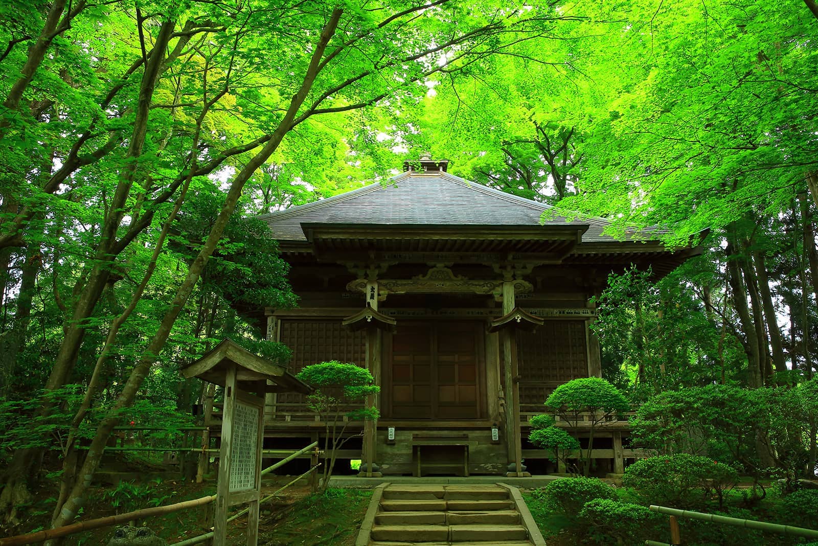 (写真) 中尊寺 5