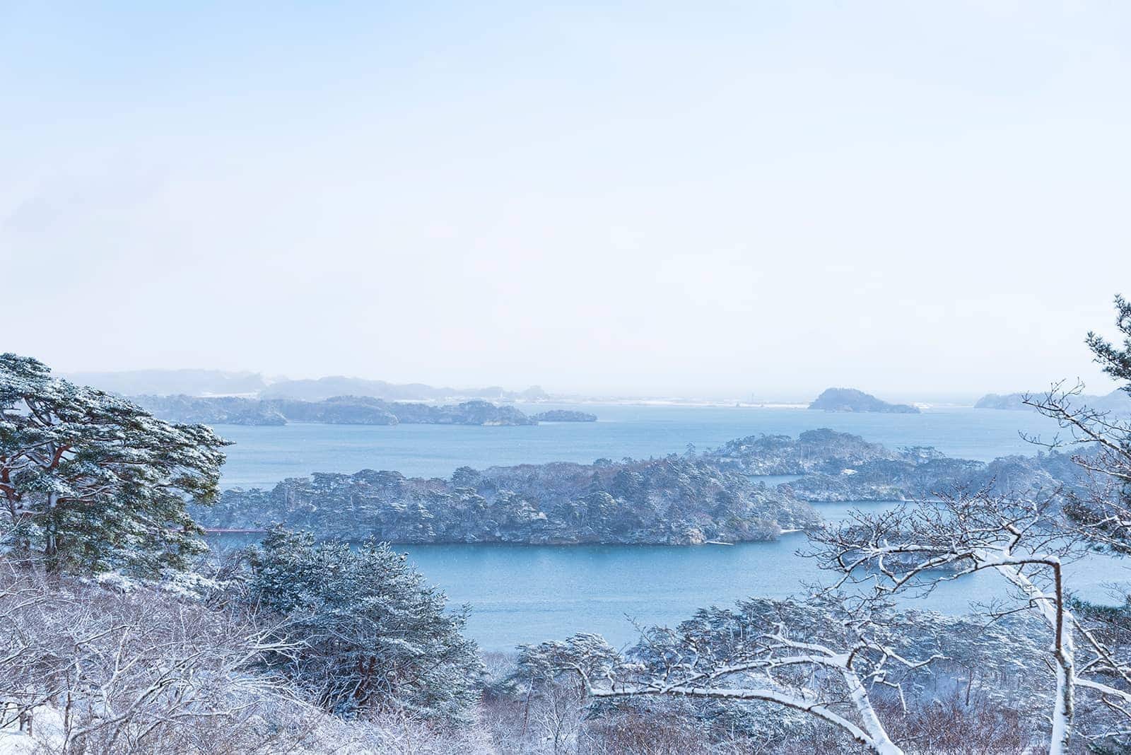(写真) 松島 1