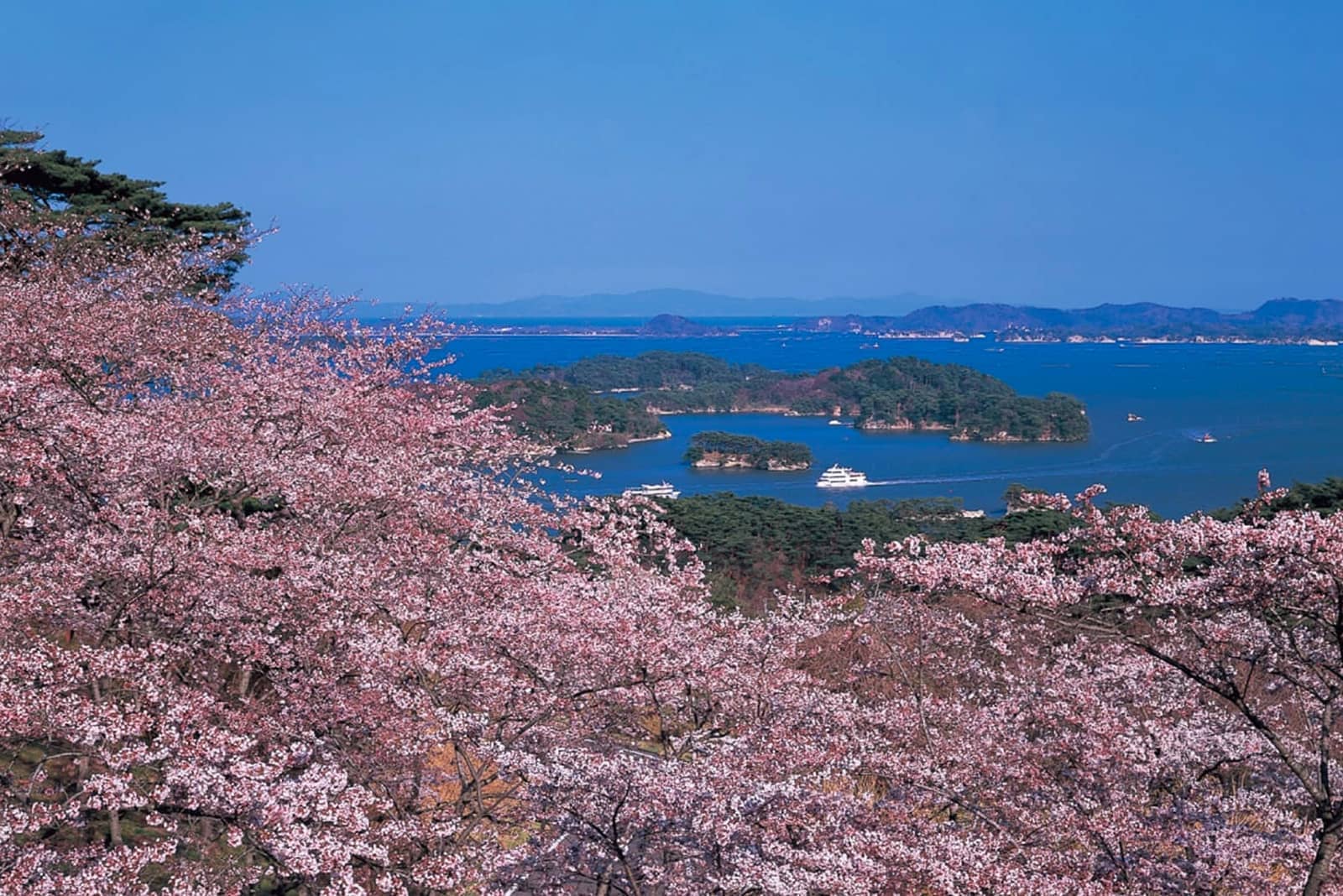 (写真) 松島 3