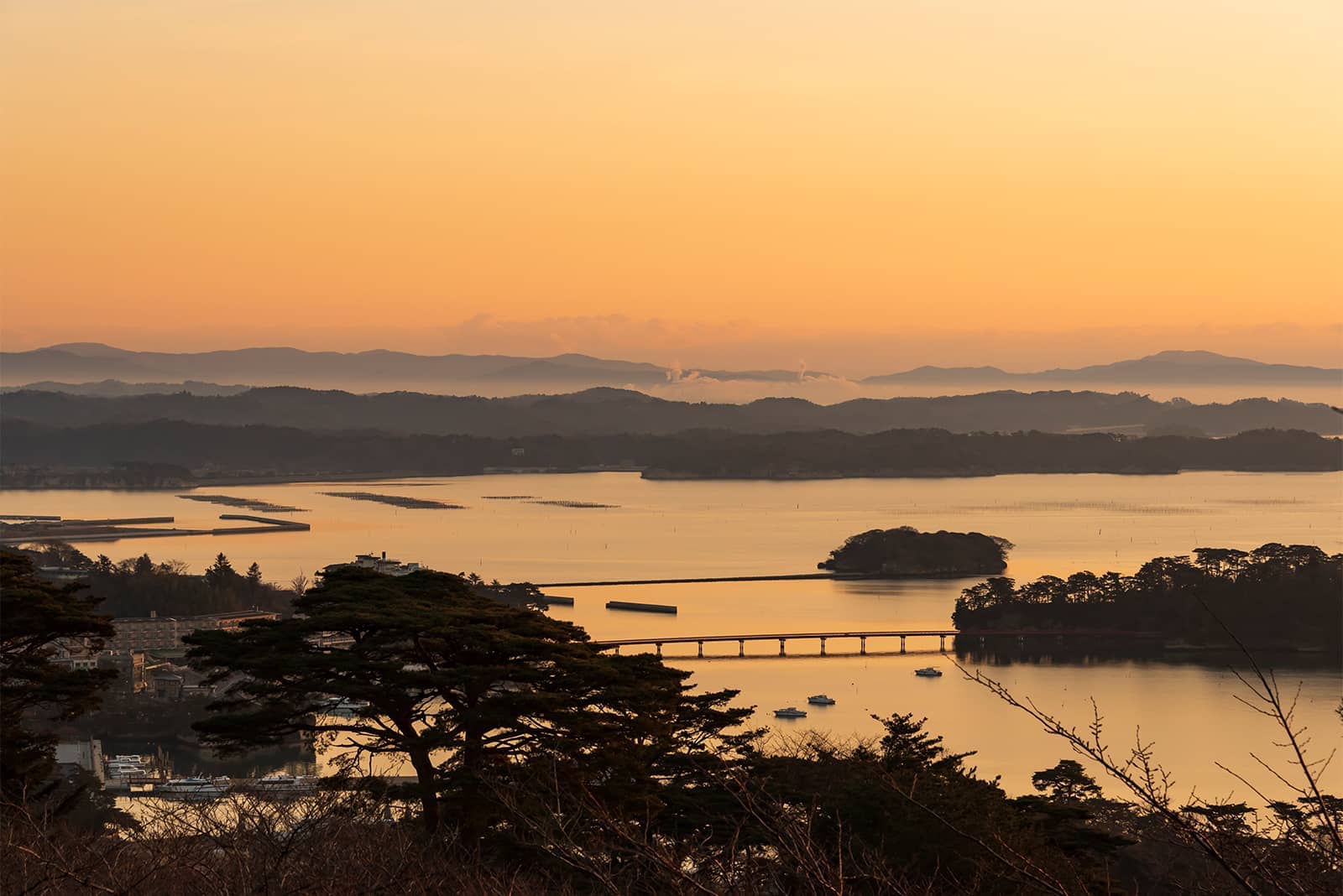 (写真) 松島 5