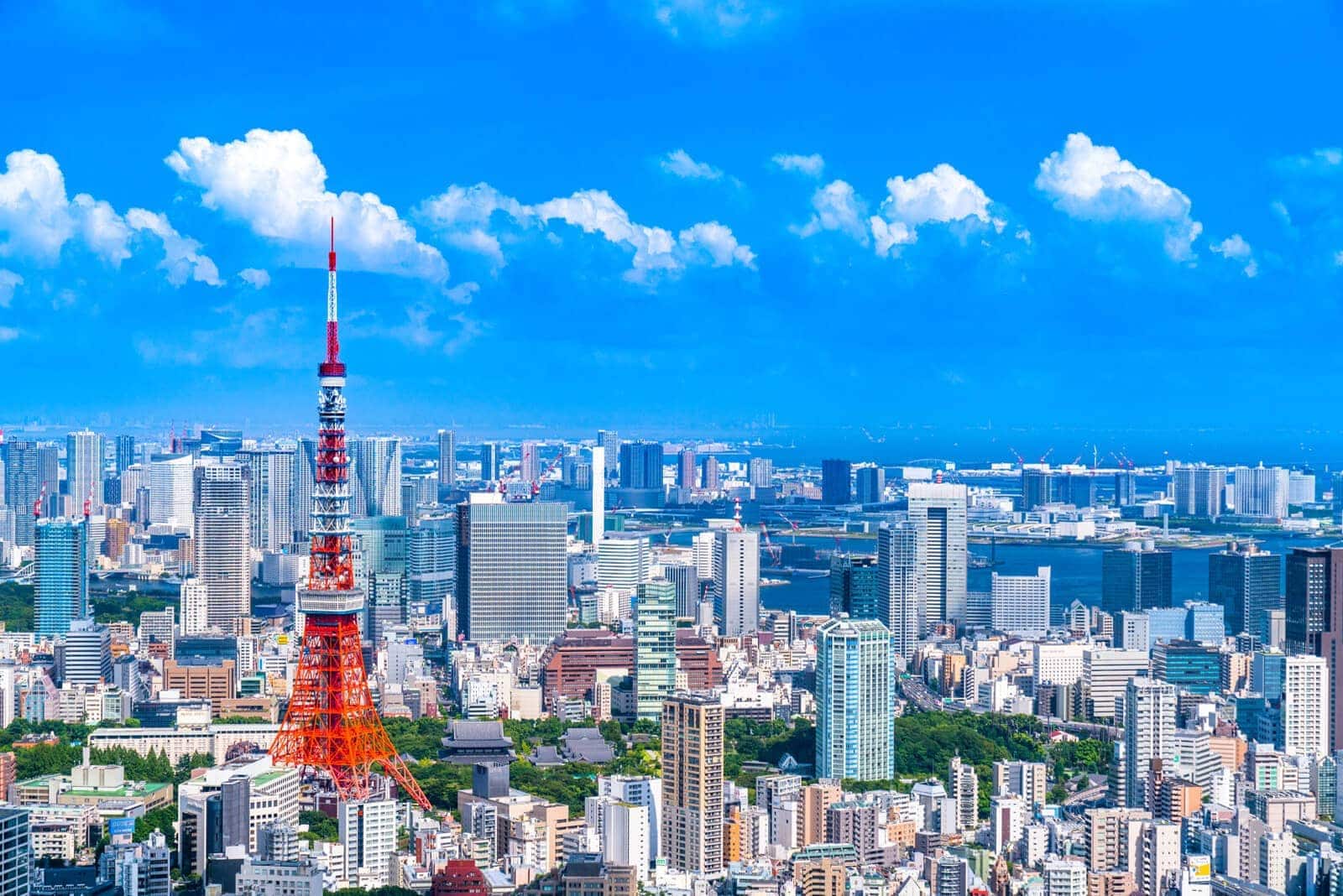 (写真) 東京タワー 5