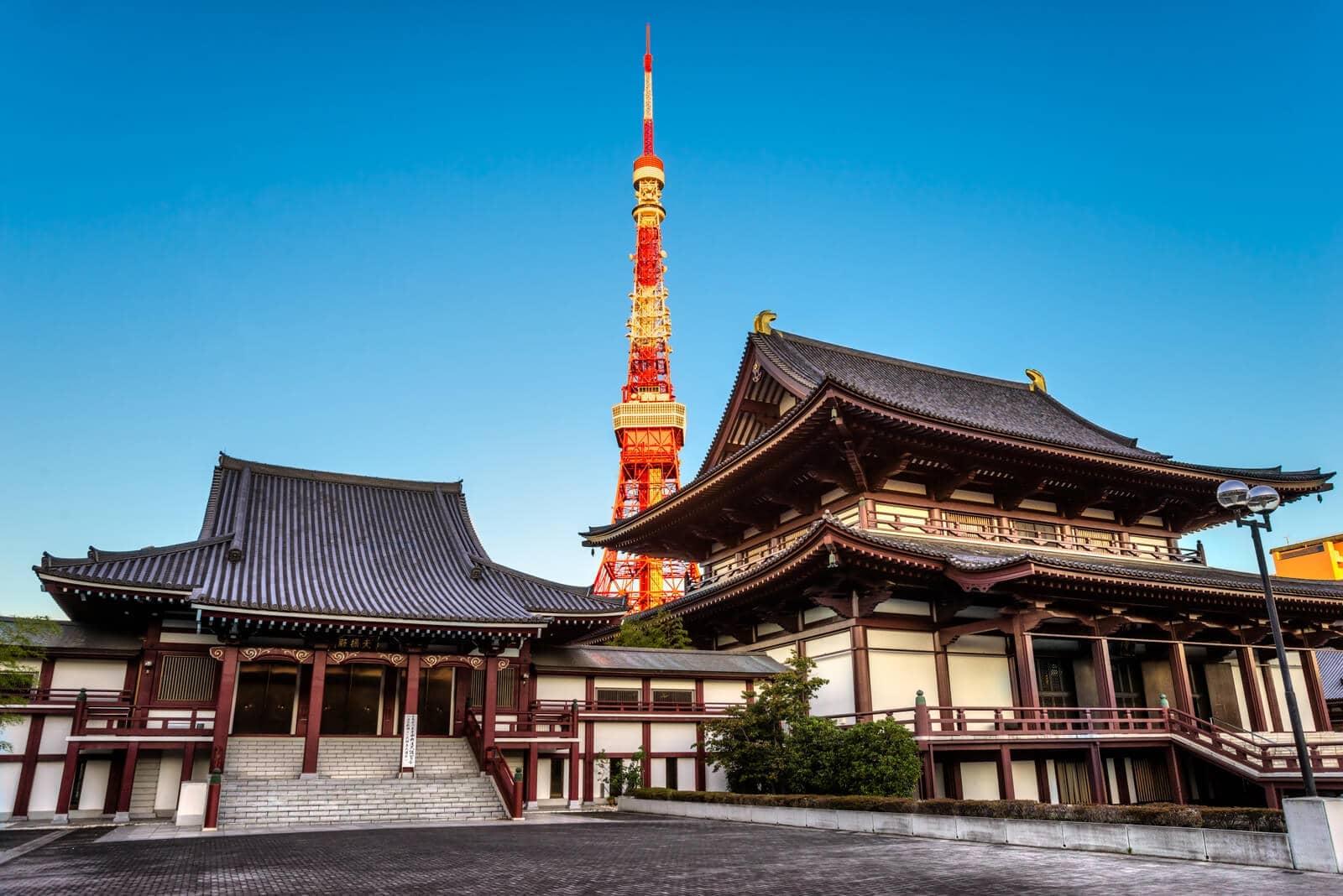 (写真) 東京タワー 6