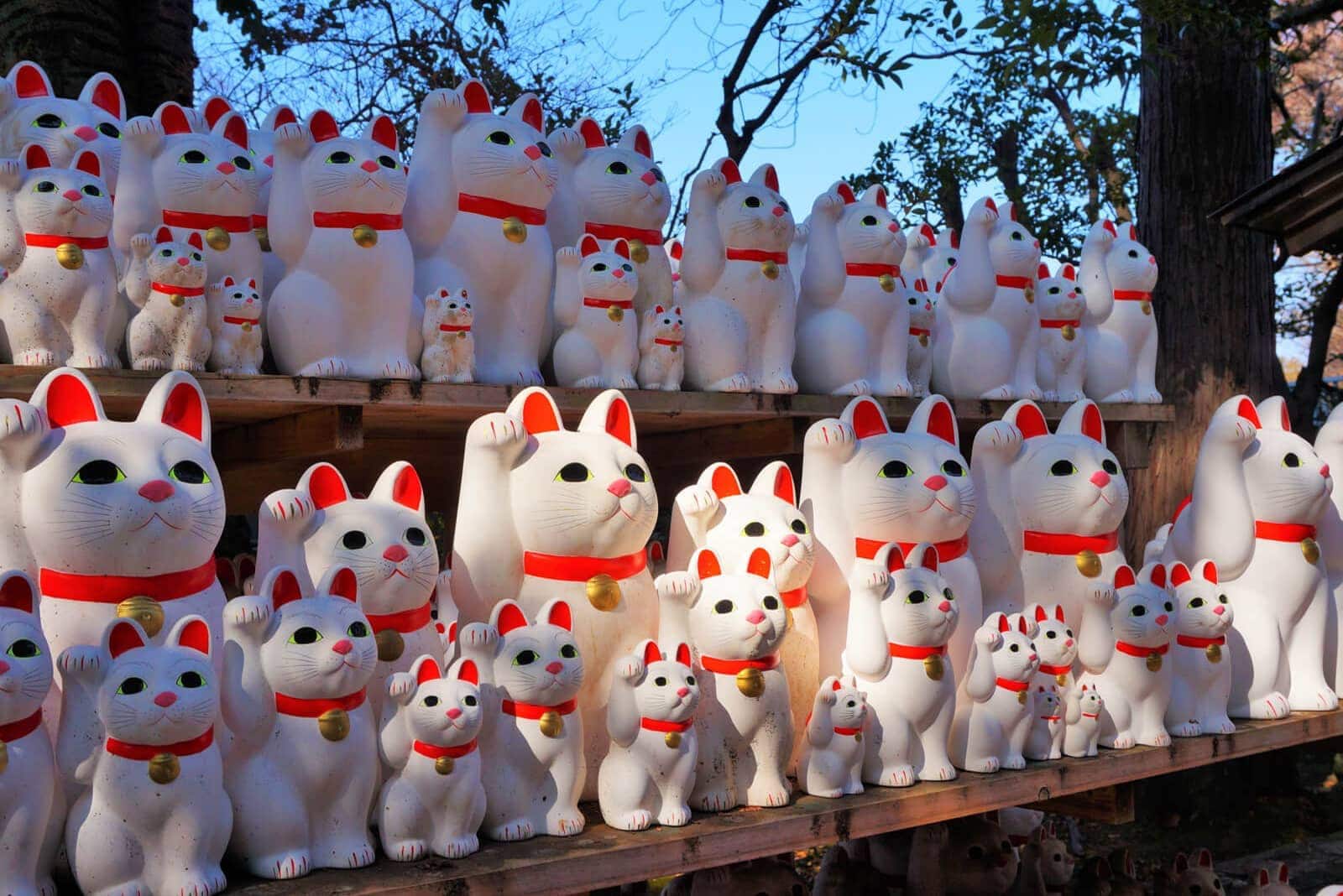 (写真) 豪徳寺 4