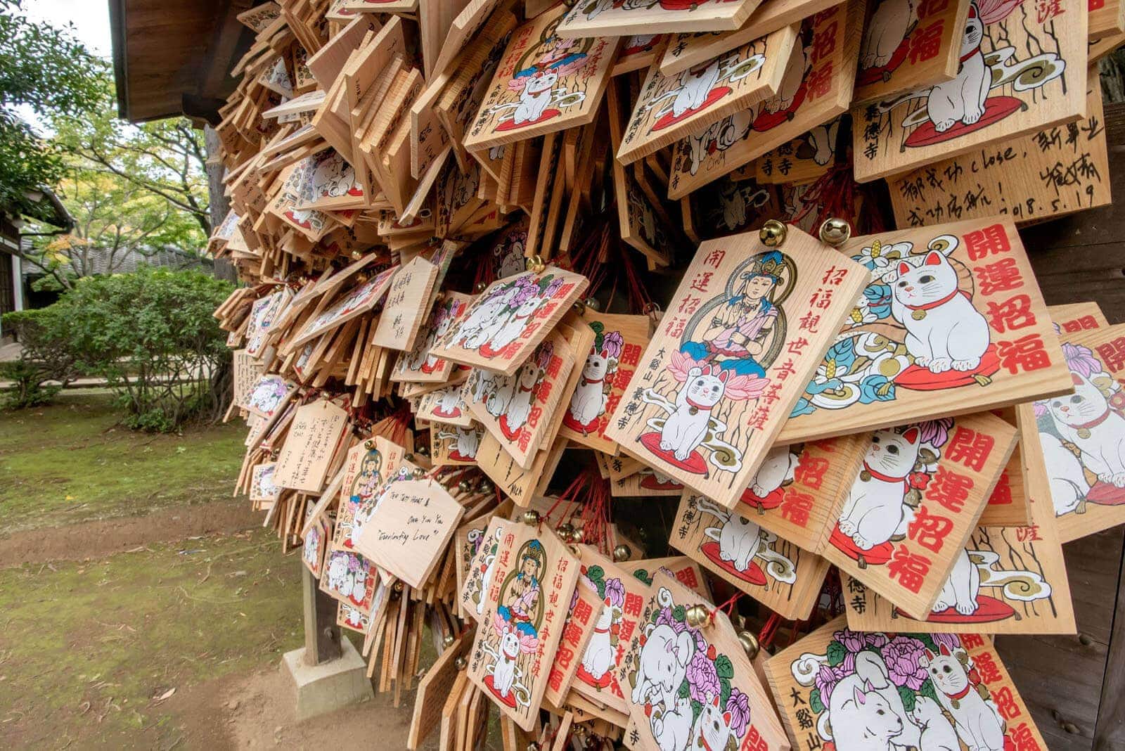 (写真) 豪徳寺 5