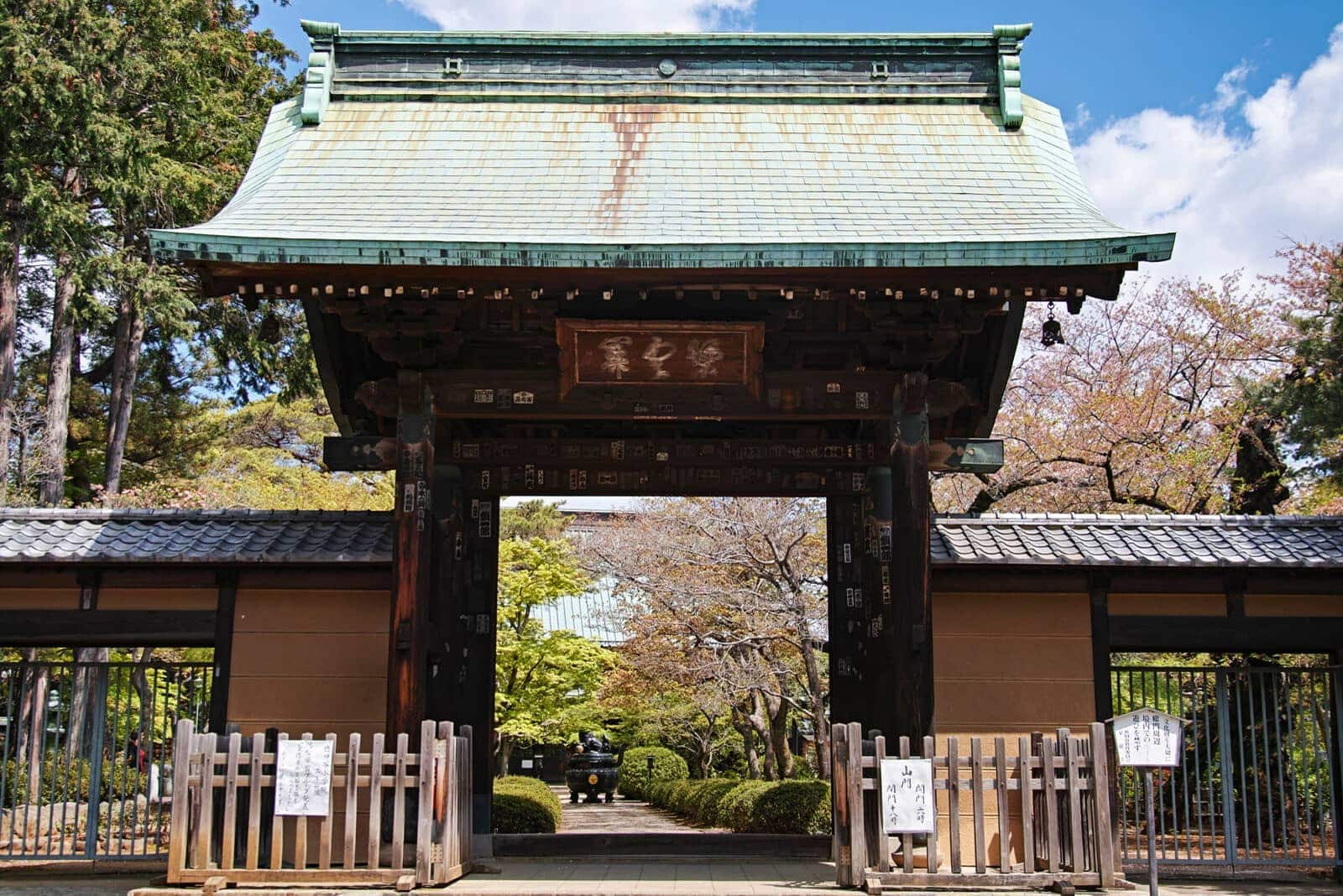 (写真) 豪徳寺 6
