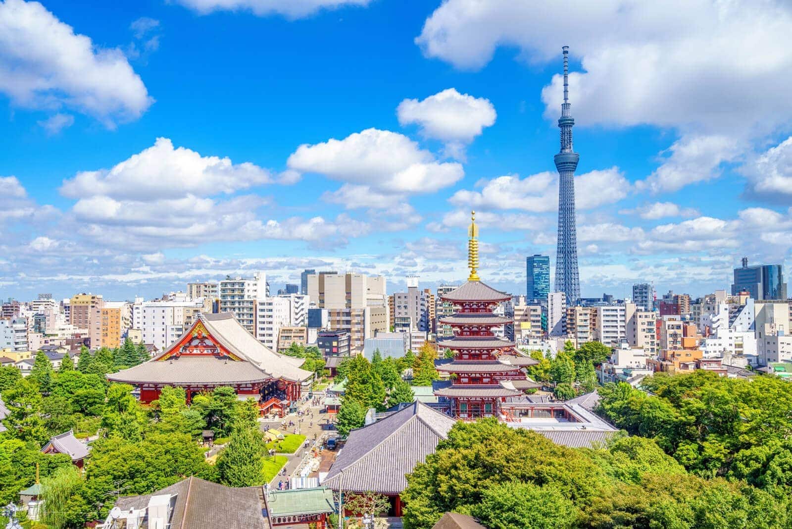 (写真) 東京スカイツリー 4