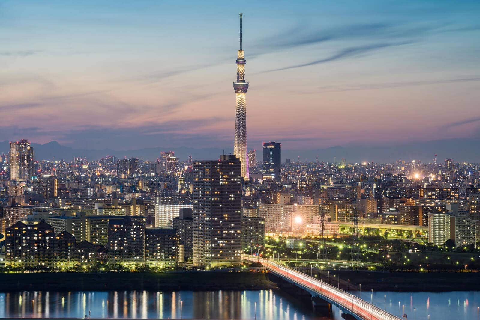 (写真) 東京スカイツリー 6