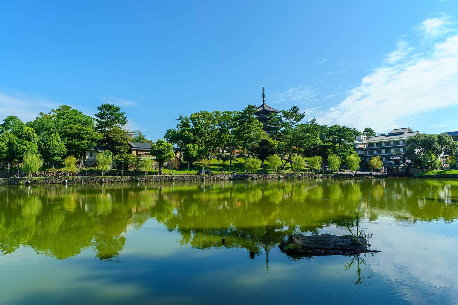 (写真) 奈良 6