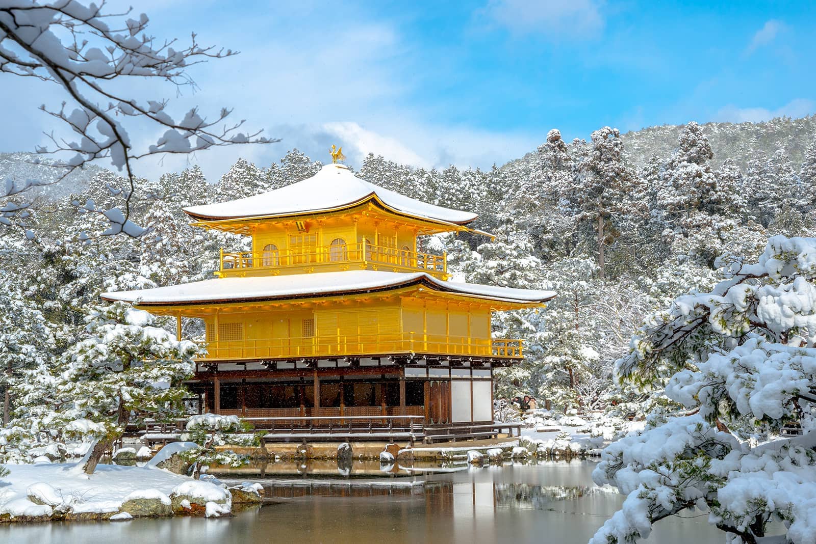 (写真) 金閣寺 2