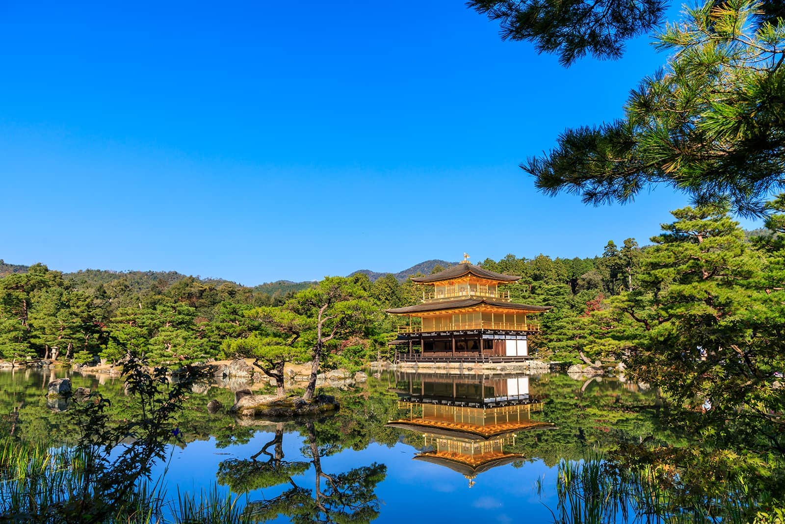 (写真) 金閣寺 3