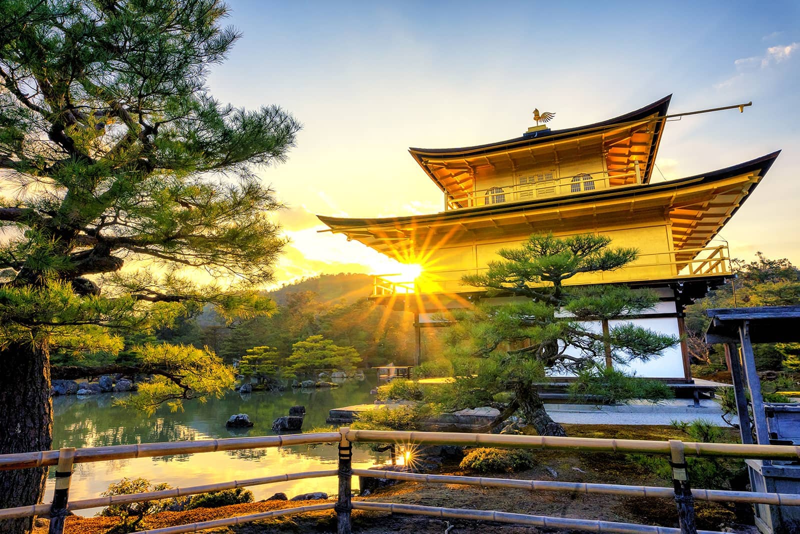 (写真) 金閣寺 5
