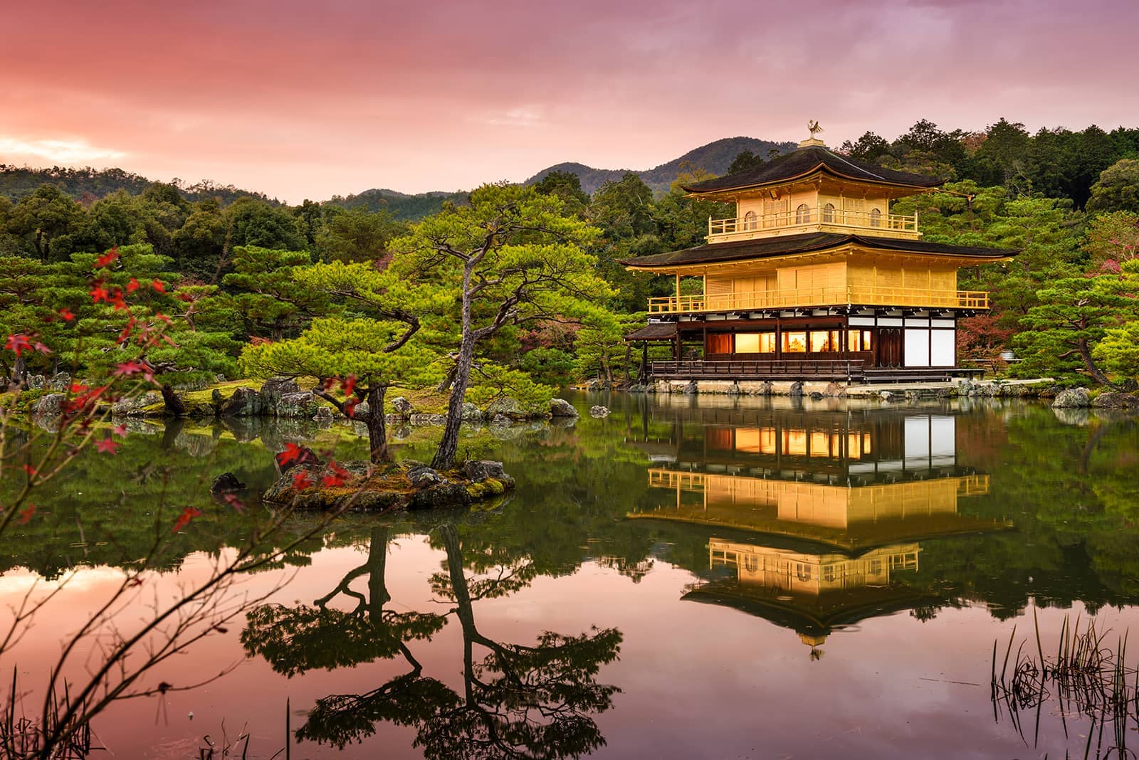 (写真) 金閣寺 6