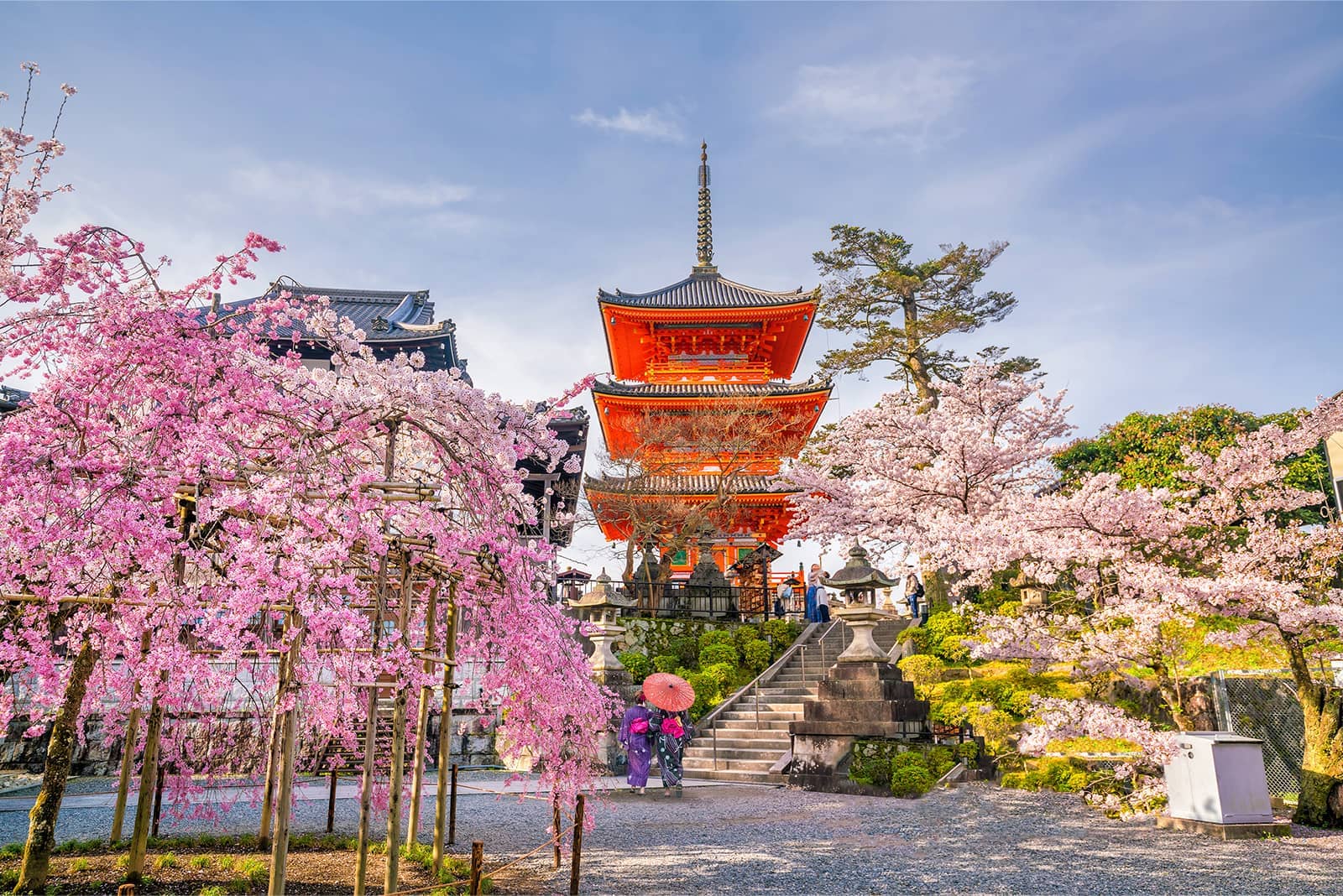 (写真) 清水寺 1