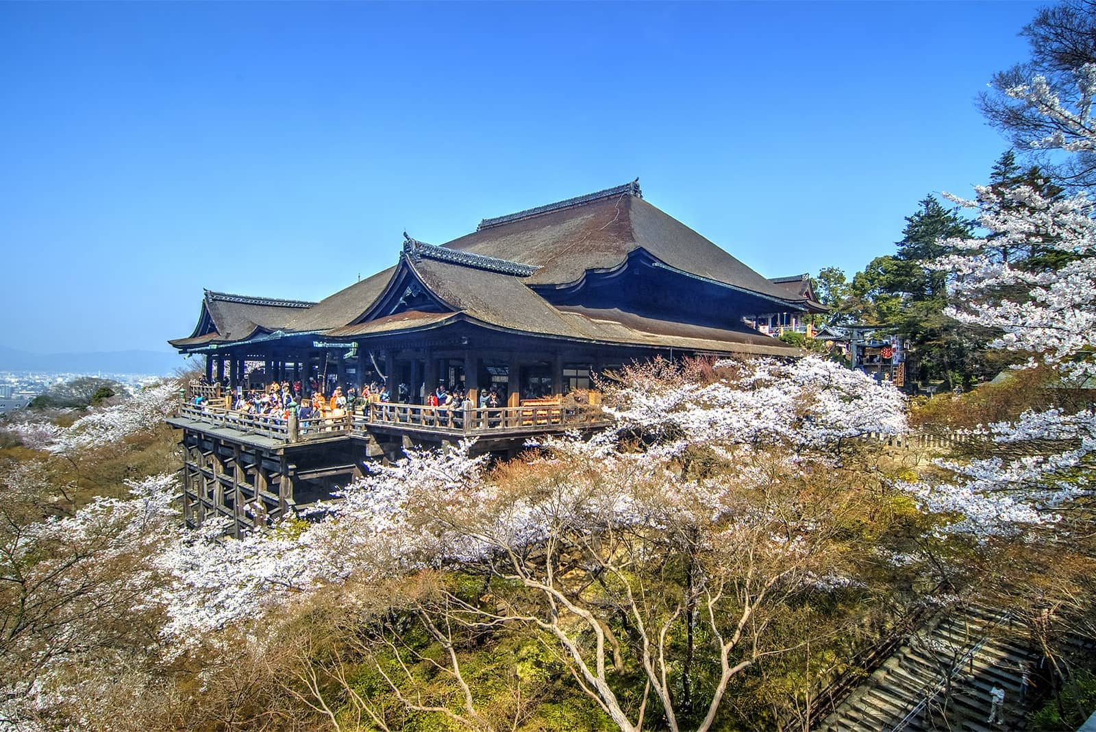 (写真) 清水寺 3