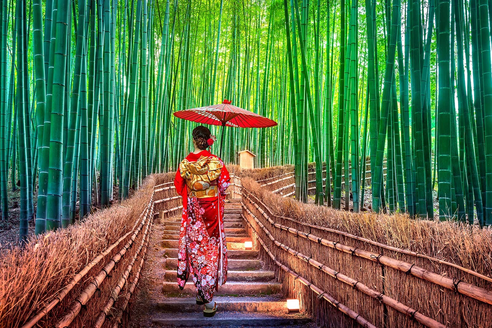 (写真) 嵐山 2