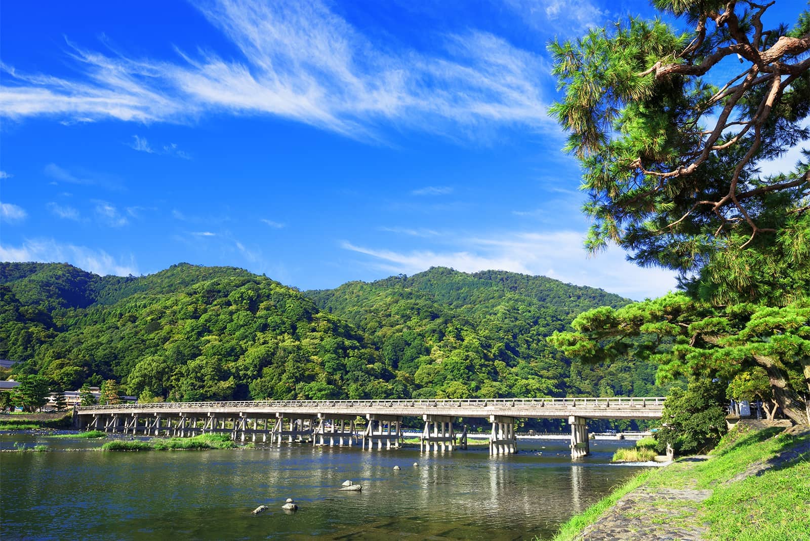 (写真) 嵐山 3