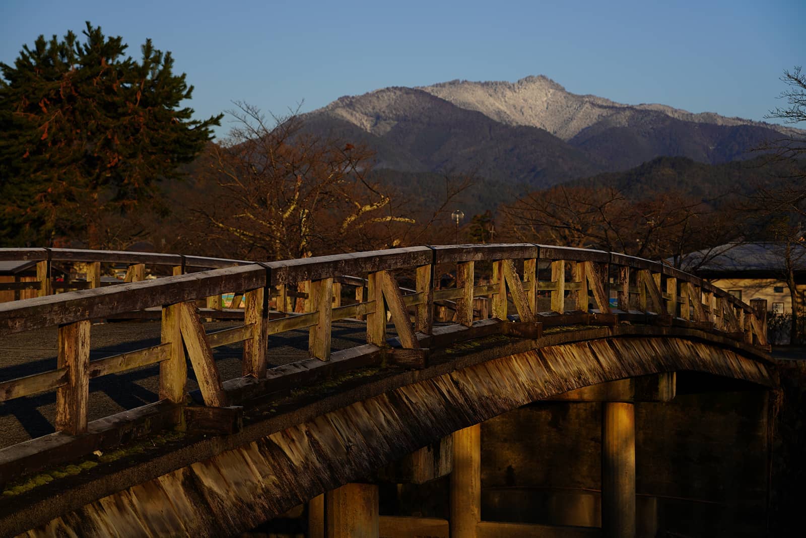 (写真) 嵐山 4