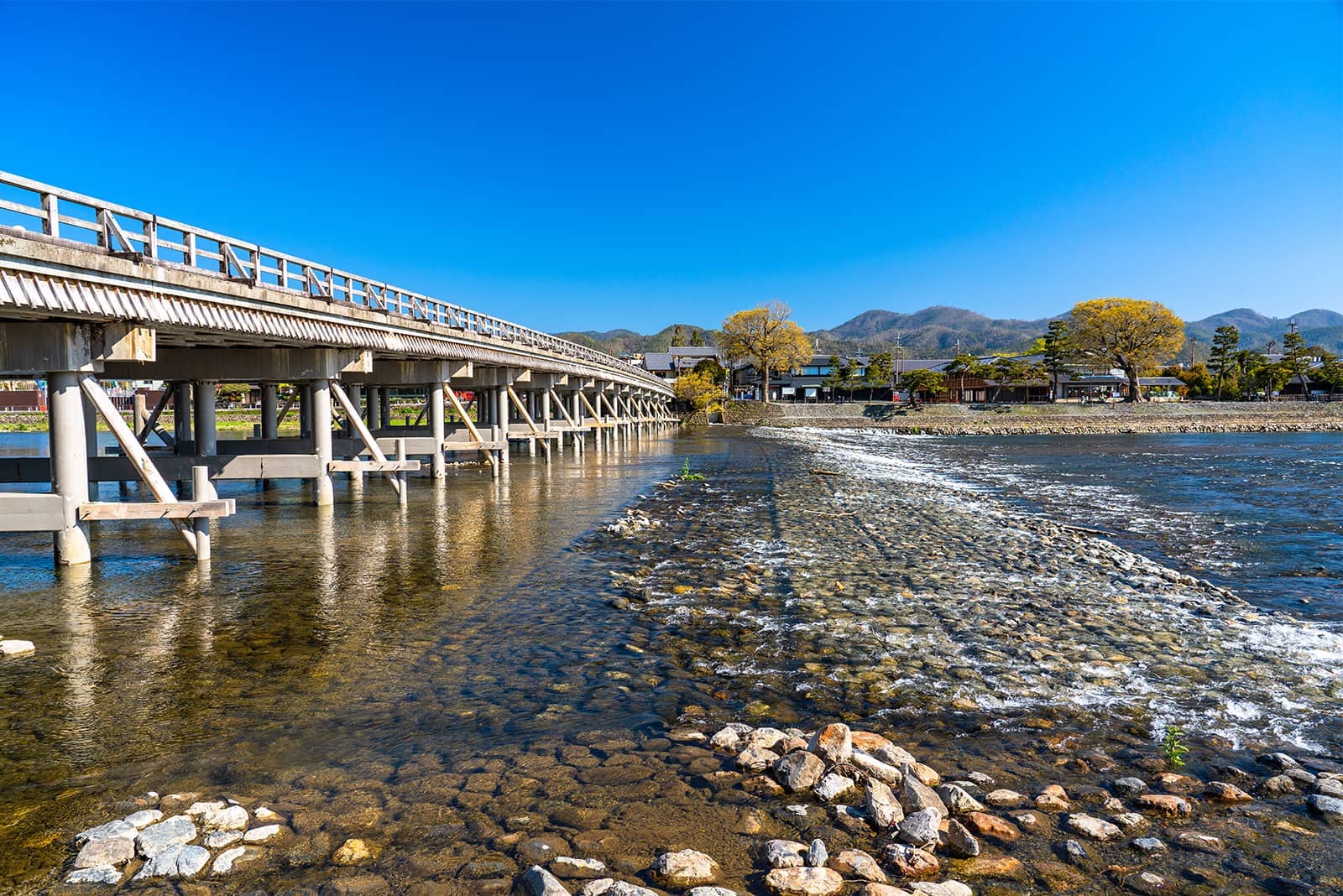 (写真) 嵐山 6
