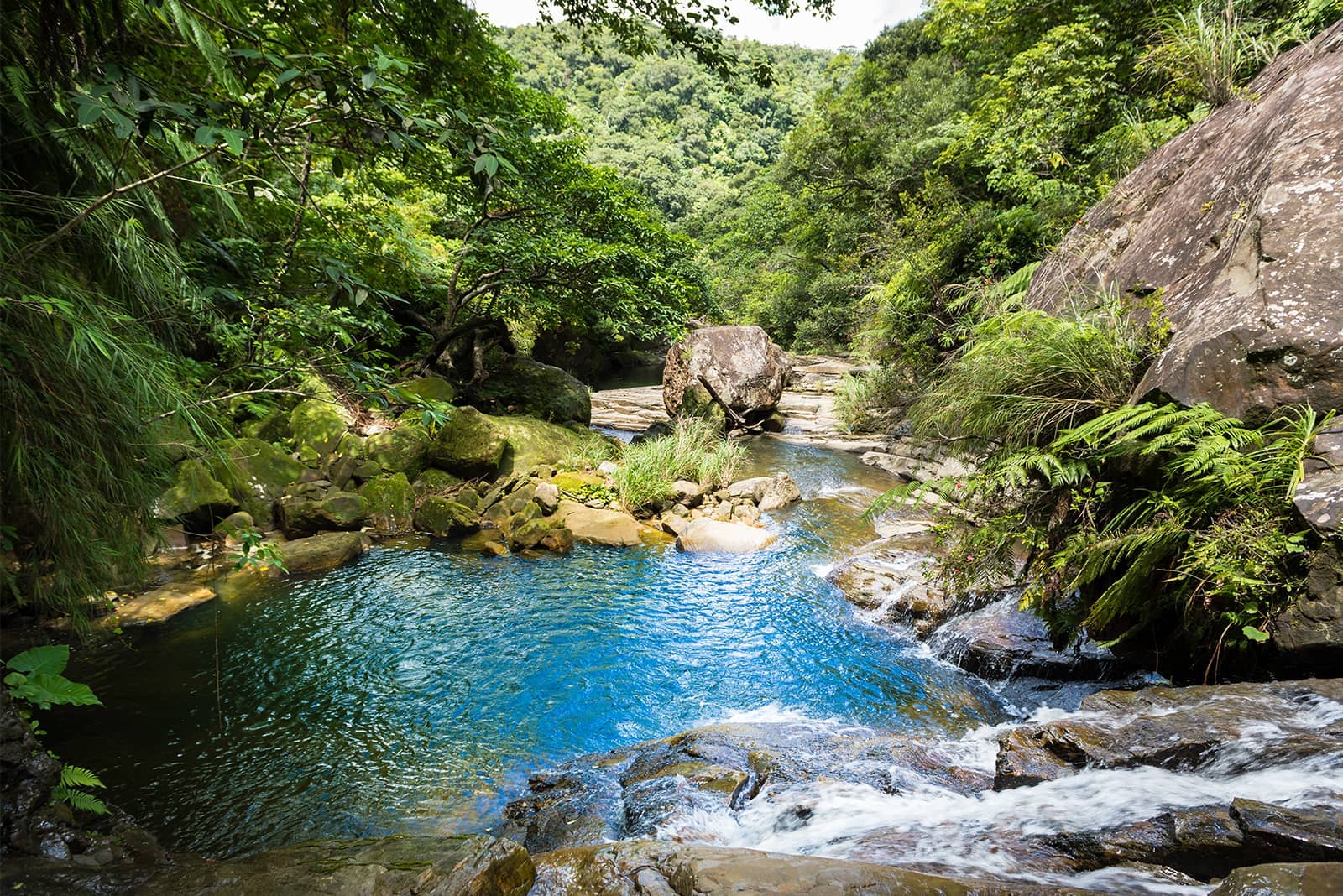 (写真) 仲間川マングローブクルーズ 3
