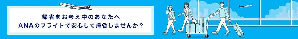 帰省をお考え中のあなたへ ANAのフライトで安心して帰省しませんか？