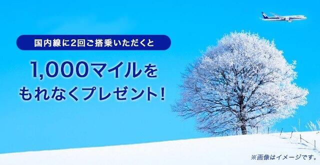 国内線に2回ご搭乗いただくと1,000マイルをもれなくプレゼント！