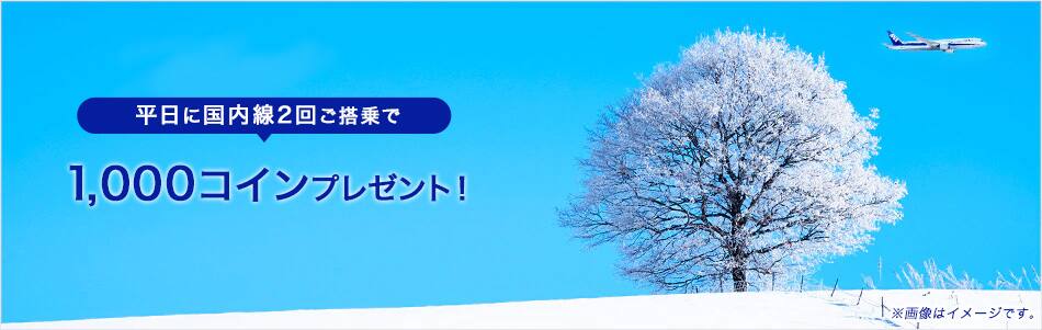 平日に国内線2回ご搭乗で1,000コインプレゼント！