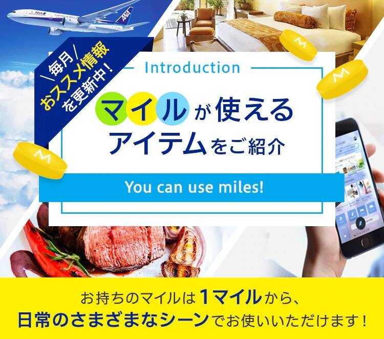 マイルが使えるアイテムをご紹介 You can use miles! お持ちのマイルは1マイルから、日常のさまざまなシーンでお使いいただけます！