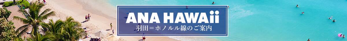 ANA SUPER VALUE販売中！