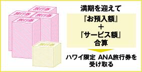 満期に「ハワイ限定ANA旅行券」をお送りいたします