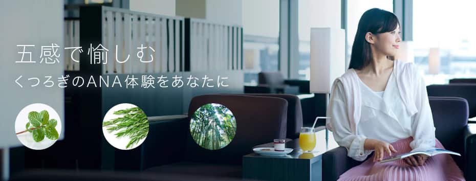 五感で愉しむ くつろぎのANA体験をあなたに