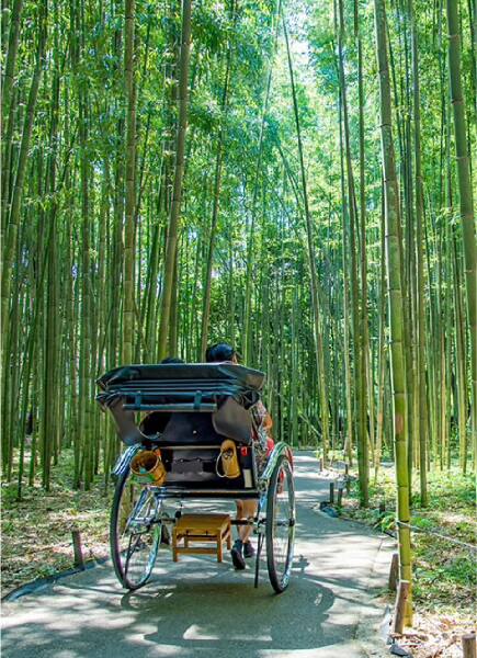 京都・嵐山を散策する