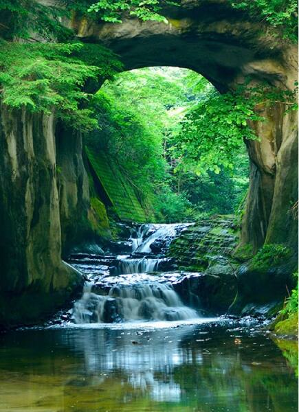 緑と光に包まれた景色