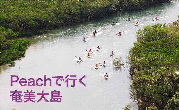 Peachで行く奄美大島