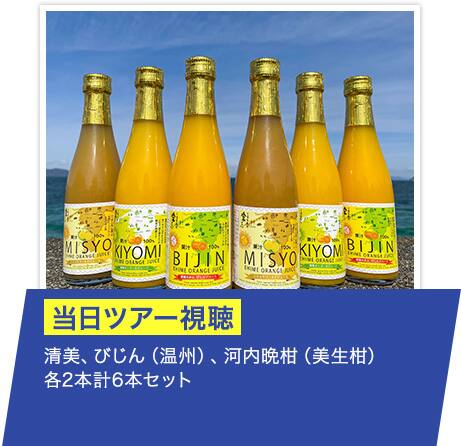 清美、びじん（温州）、河内晩柑（美生柑） 各2本計6本セット